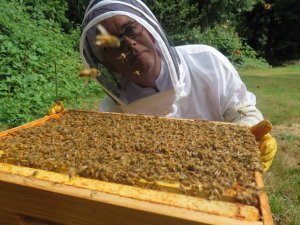 Join our Beekeeping project